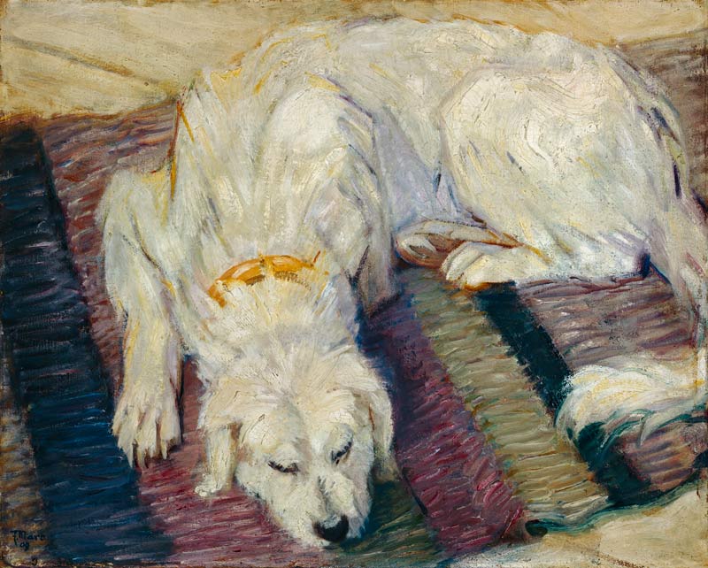 Lying dog (dog portrait) from Franz Marc