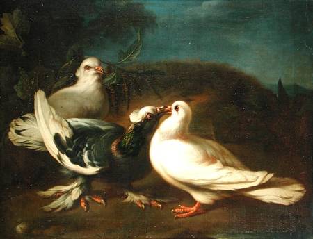 Doves from Franz Werner Tamm