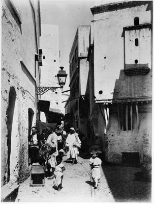 Algiers, c.1900 (b/w photo) from French Photographer, (20th century)