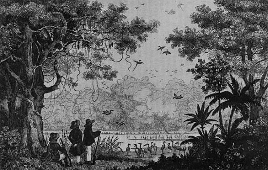 Bird Hunting, from ''Bresil, Columbie et Guyanes'' Ferdinand Denis and Cesar Famin from French School