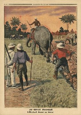 In French Congo, elephant trained to ploughing, illustration from ''Le Petit Journal'', supplement i
