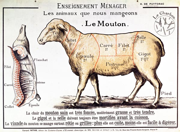 Mutton: diagram depicting the different cuts of meat (colour litho) from French School, (20th century)