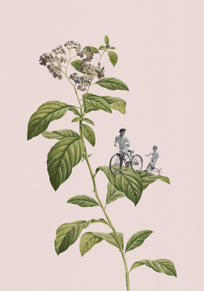Botanical cycling from Frida Floral Studio