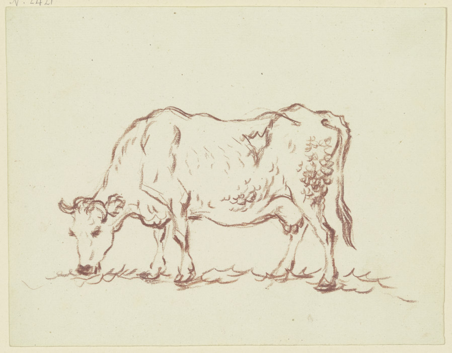 Grazing cow to the left from Friedrich Wilhelm Hirt