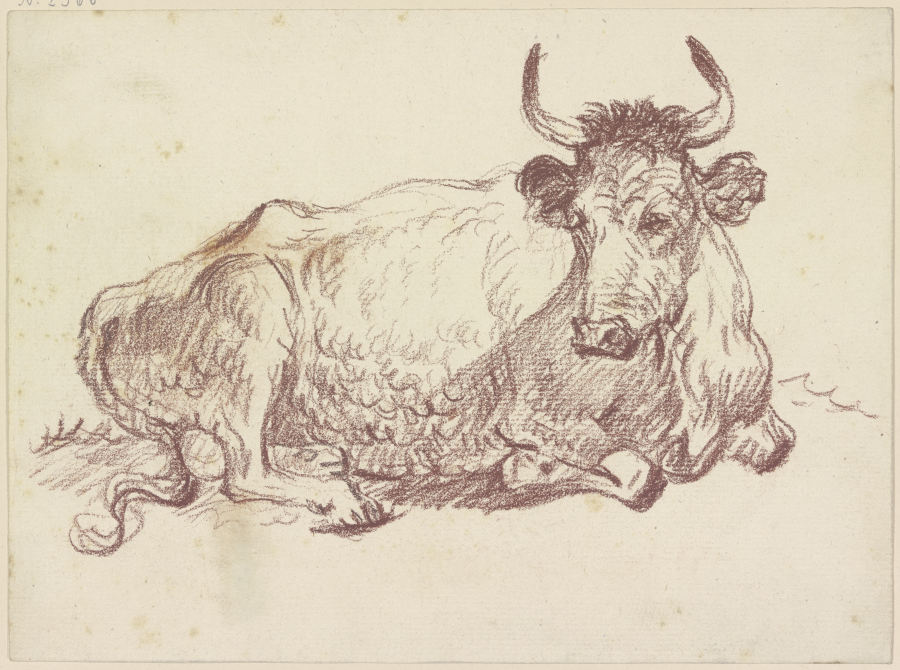 Lying cow from Friedrich Wilhelm Hirt