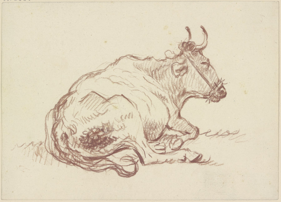 Liegende Kuh nach rechts from Friedrich Wilhelm Hirt