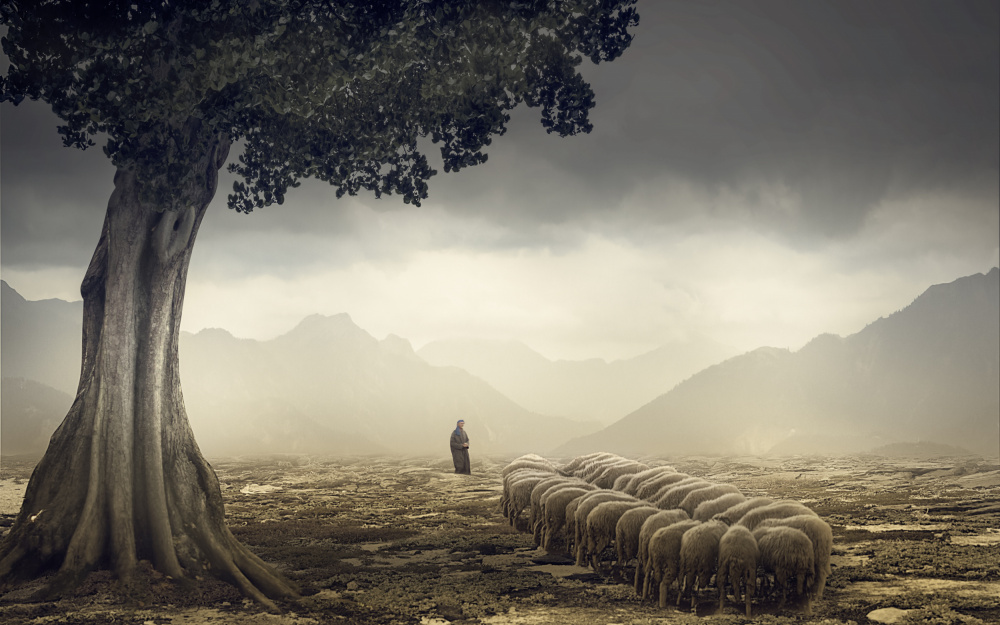 The Shepherd from Gabrielle Halperin