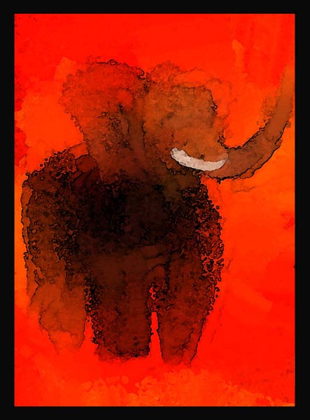 Fun Elephant 4 from David Ganssi
