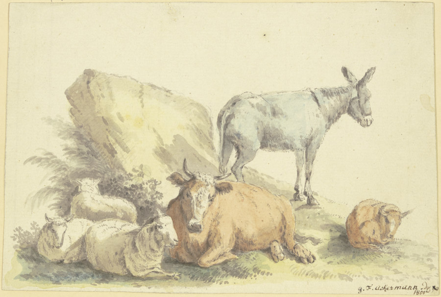 Eine Kuh, drei Schafe, ein Esel und ein Kälbchen from Georg Friedrich Ackermann