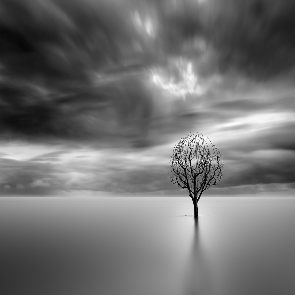 Lonely Tree from George Digalakis