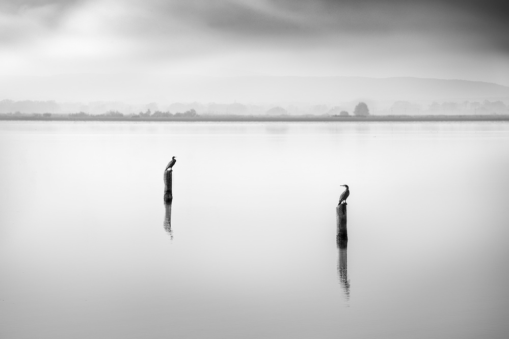 Conversation from George Digalakis