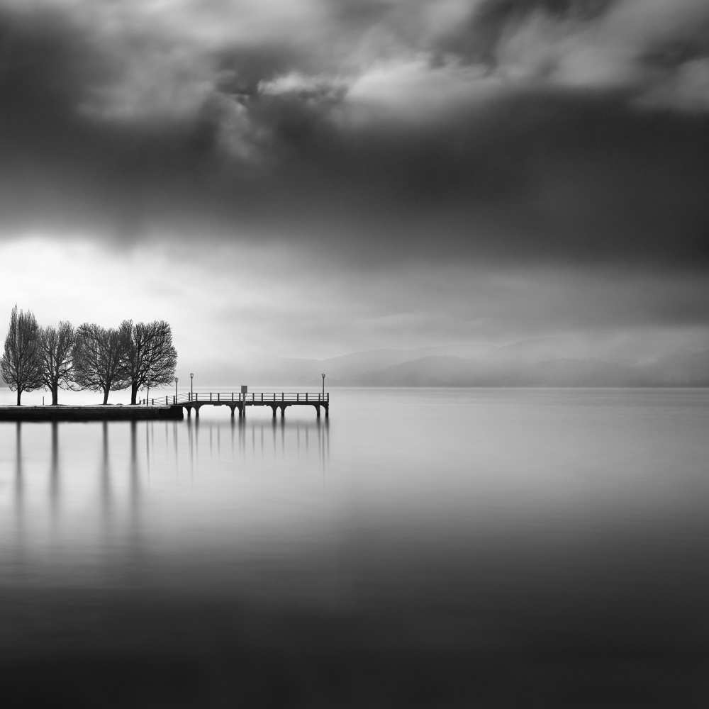 Lake view with trees from George Digalakis