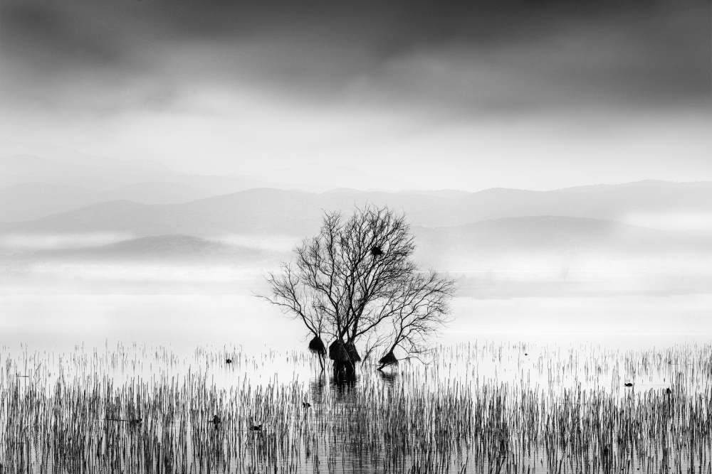 Morning Mist at Koroneia lake from George Digalakis