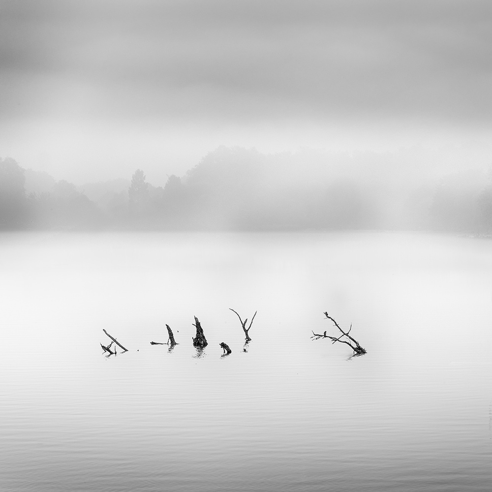 Waterland from George Digalakis