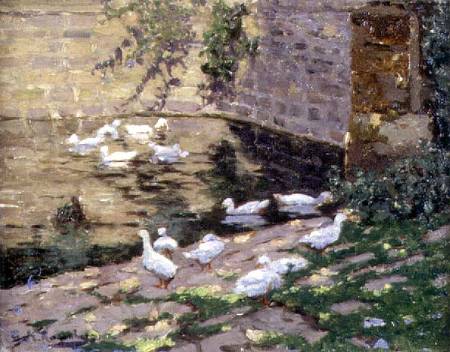 Ducks on a Pond from George Rosenberg