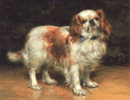 King Charles Spaniel from George Sheridan Knowles