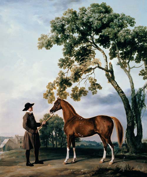 Pferdepfleger with the arab horse Lord Grosvenor from George Stubbs