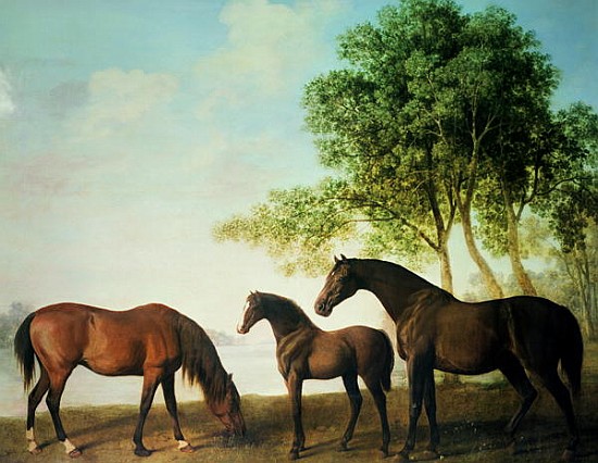 Shafto Mares and a Foal from George Stubbs