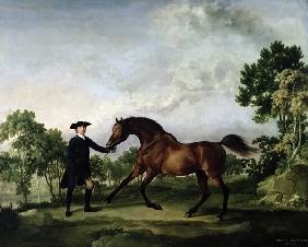 The Duke of Ancaster's bay stallion Blank, held by a groom, c.1762-5