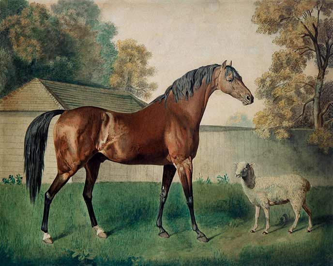 'Dungannon' from George Townley Stubbs