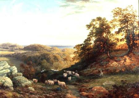 Watching the Flock from George Vicat Cole