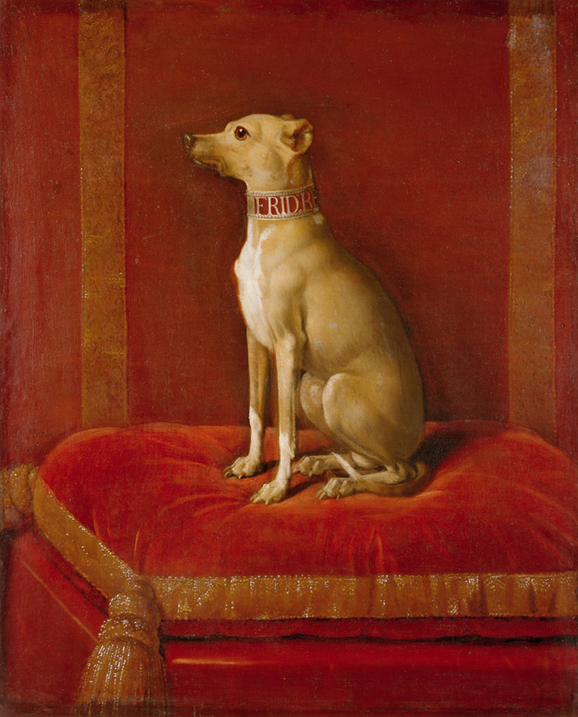 One of Frederick II''s Italian greyhounds from German School