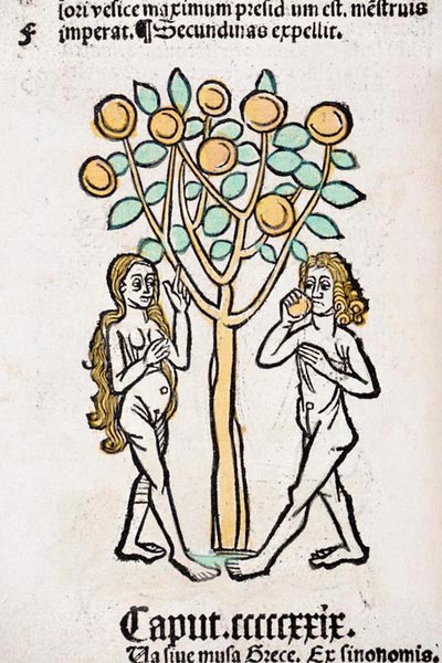 Adam and Eve tree Hortus Sanitatis from German School