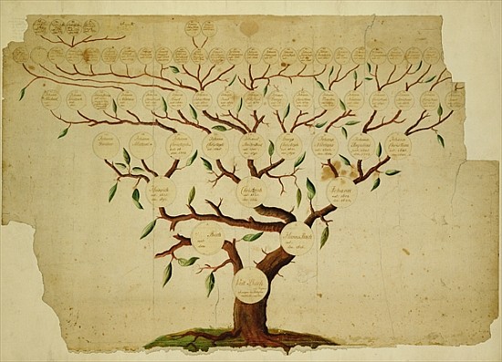 Bach Family Tree, c.1750-1770 (pen and ink and pencil on paper) from German School