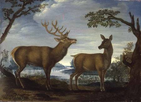 Stag and hind in a wooded landscape (panel) from German School
