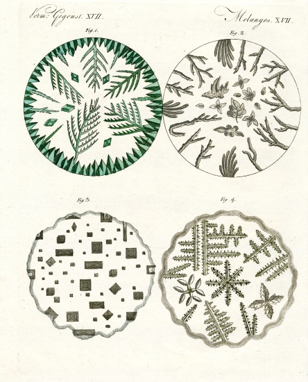 All kinds of salt crystals from German School, (19th century)