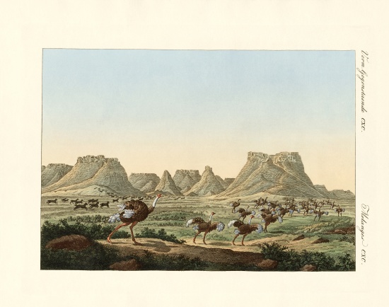 Area in South Africa at the forland of Good Hope from German School, (19th century)