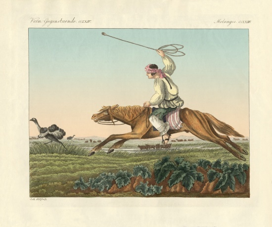 Ostrich Hunting from German School, (19th century)