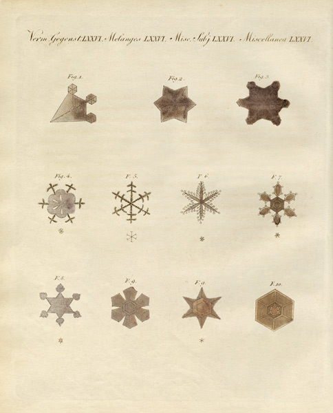 The snow with its crystallizations from German School, (19th century)