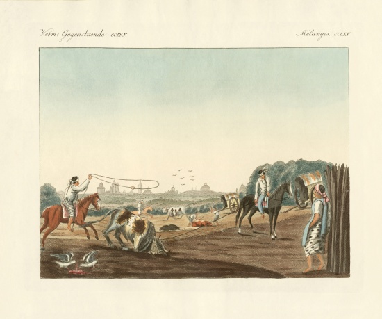 The South of Matadero, one of the public slaughterhouses of Buenos Aires from German School, (19th century)
