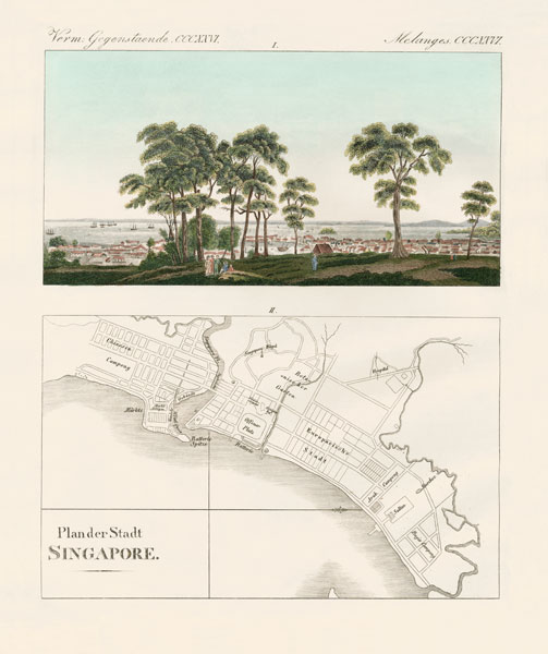 View and map of the East Indian establishment Singapore from German School, (19th century)