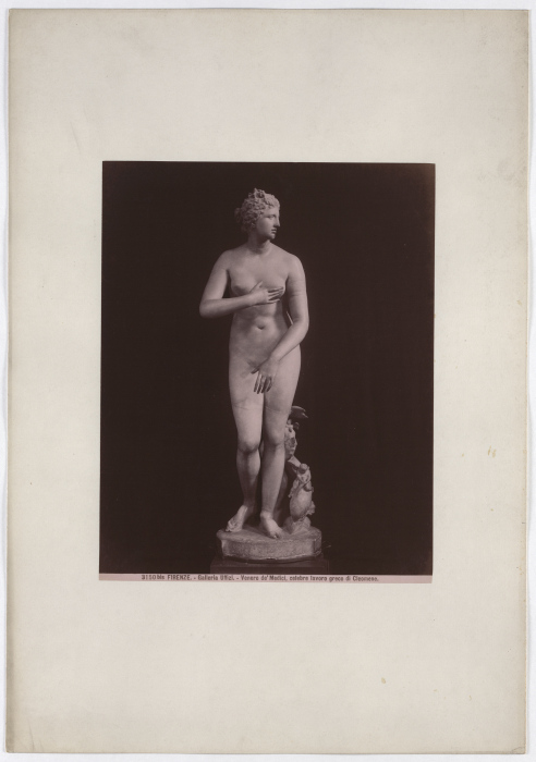 Florence: Venus deMedici, famous Greek work by Cleomene, Uffizi Gallery, No. 3150 bis from Giacomo Brogi