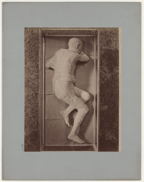 Pompeii: (Museum) Corpse of a man, No. 5579 from Giacomo Brogi