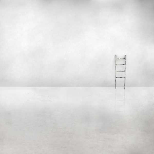 The social ladder from Gilbert Claes