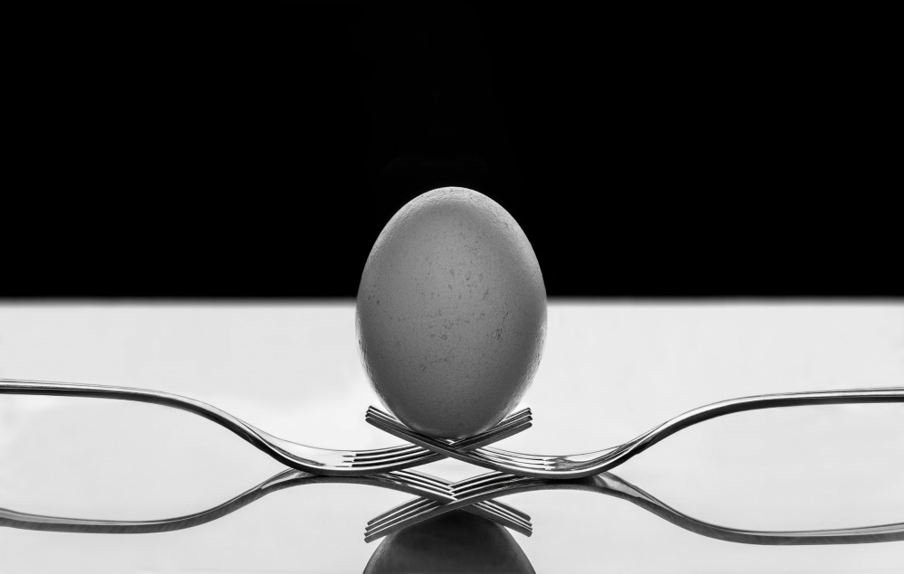 The egg from Giorgio Toniolo