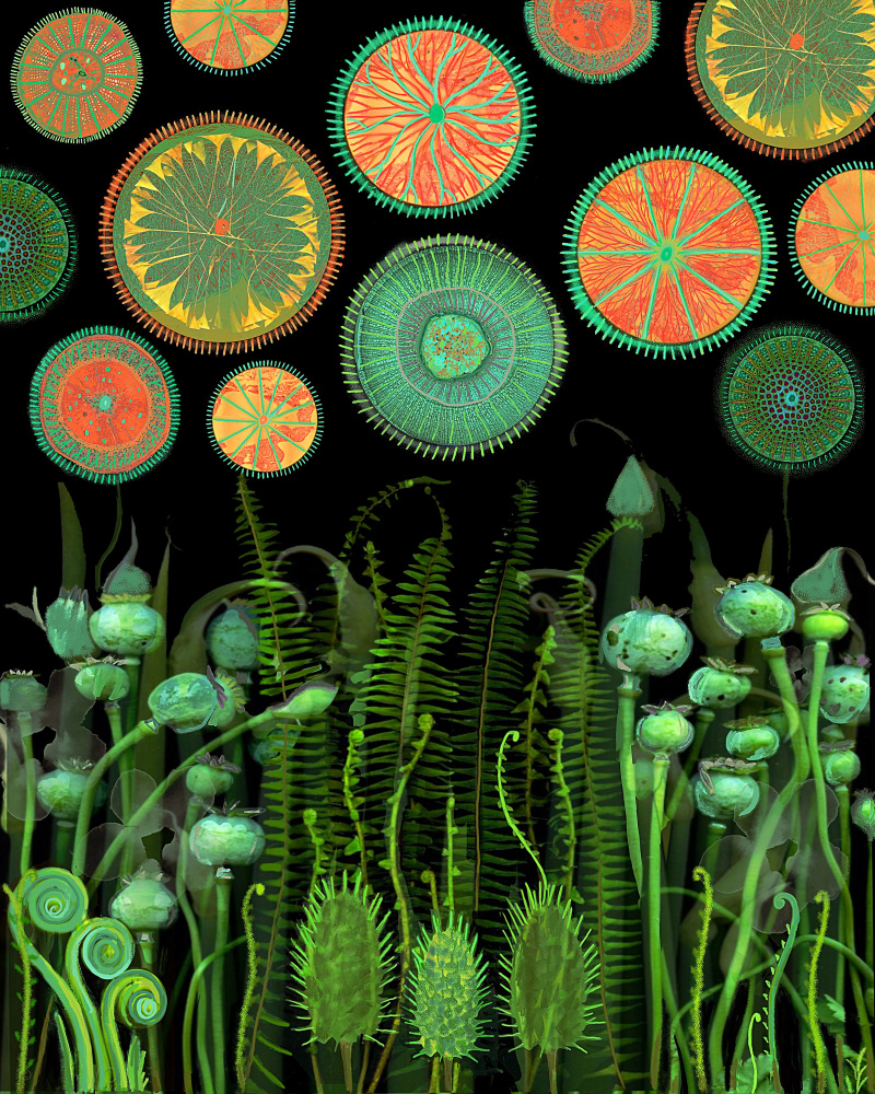 Psychedelic.png from giovanna nicolo