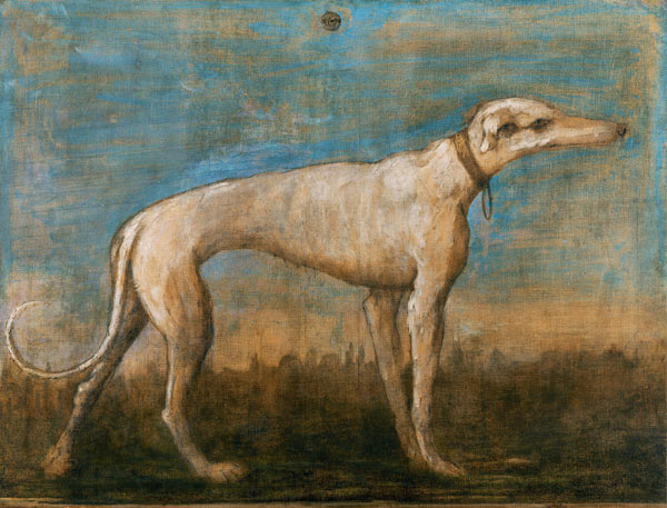 G.B.Tiepolo / Greyhound / Paint./ C18th from Giovanni Battista Tiepolo