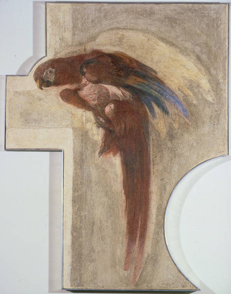 G.D.Tiepolo / Parrot / Fresco from Giovanni Domenico Tiepolo