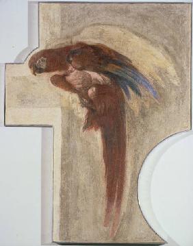 G.D.Tiepolo / Parrot / Fresco
