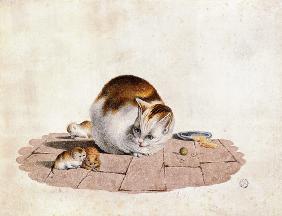 Cat mother with three boys at a food plate