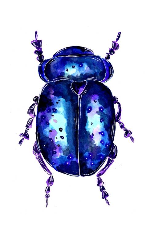 Blue and Purple colored Leaf Beetle from Sebastian  Grafmann