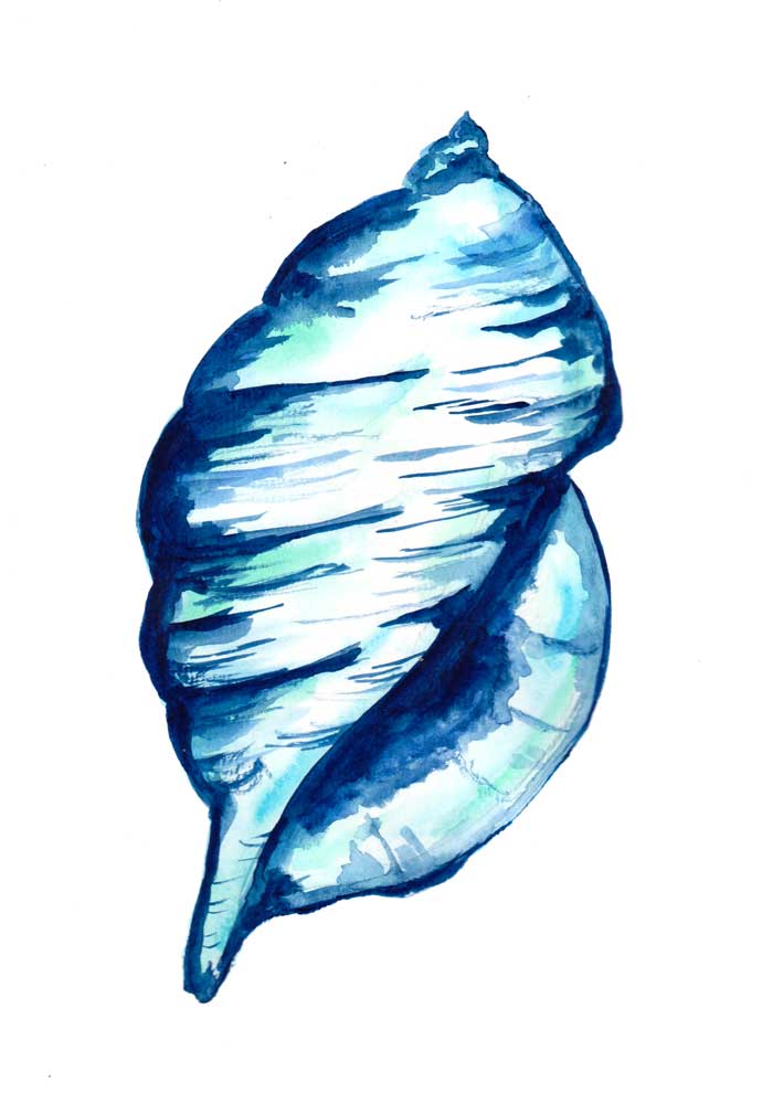 Blue Seashell from Sebastian  Grafmann
