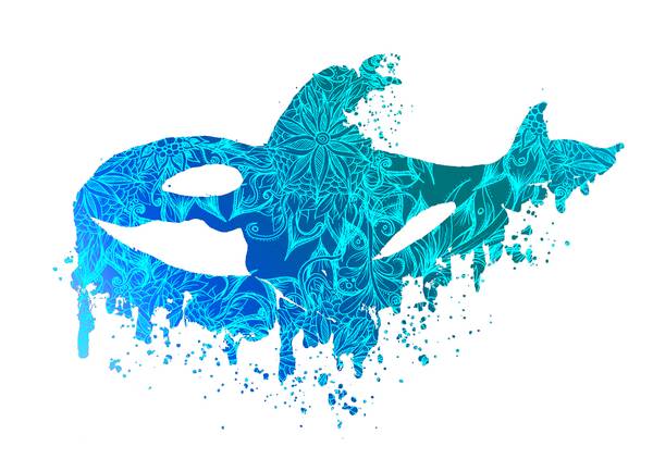 Blue Floral Orca Killerwhale from Sebastian  Grafmann