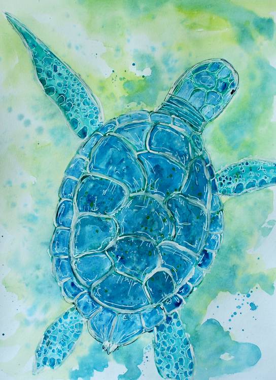 Blue Sea Turtle from Sebastian  Grafmann