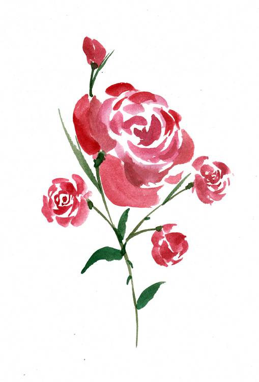 Intricate Watercolor Rose from Sebastian  Grafmann