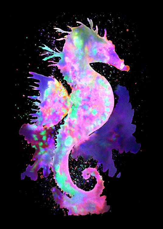 Magic Seahorse Space Nebula from Sebastian  Grafmann